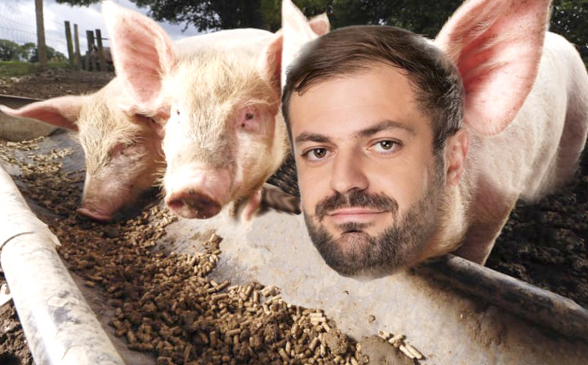 Власть и кормушка – 7orTV